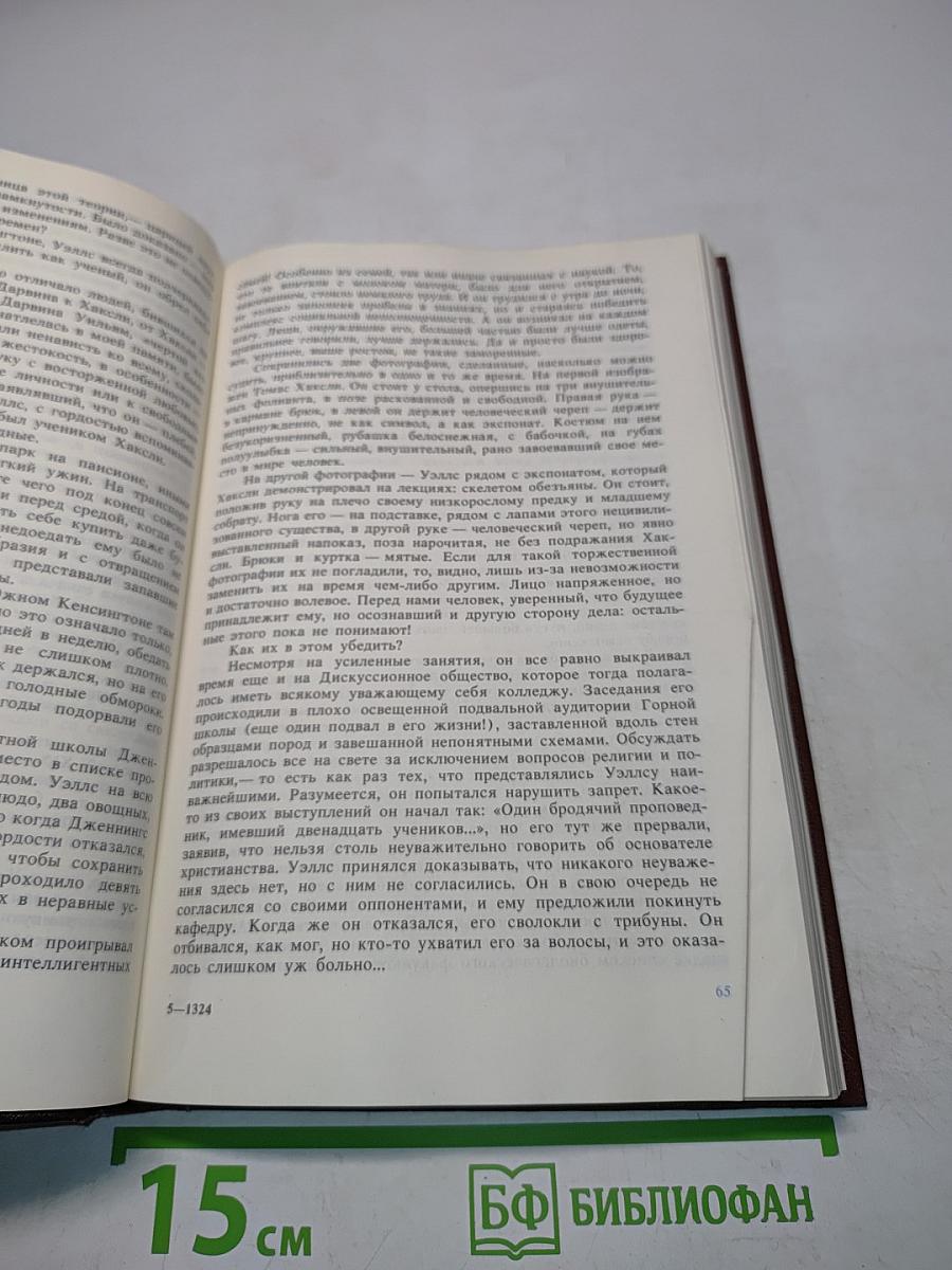Писатели о писателях. Вглядываясь в грядущее