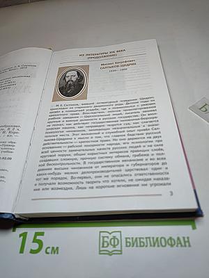Литература 8 класс, Часть 2
