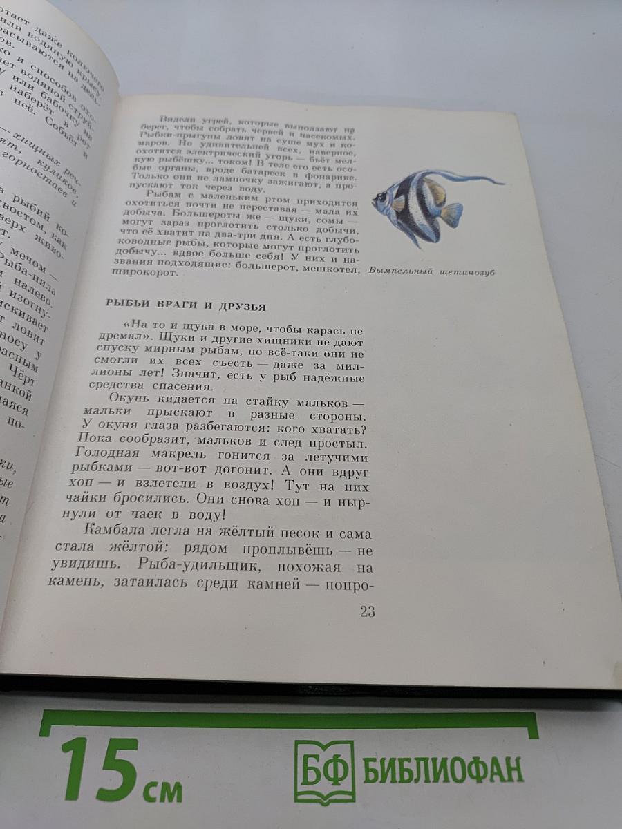 Покажите мне их!