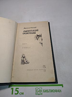 Маленький оборвыш