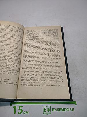 Маленький оборвыш