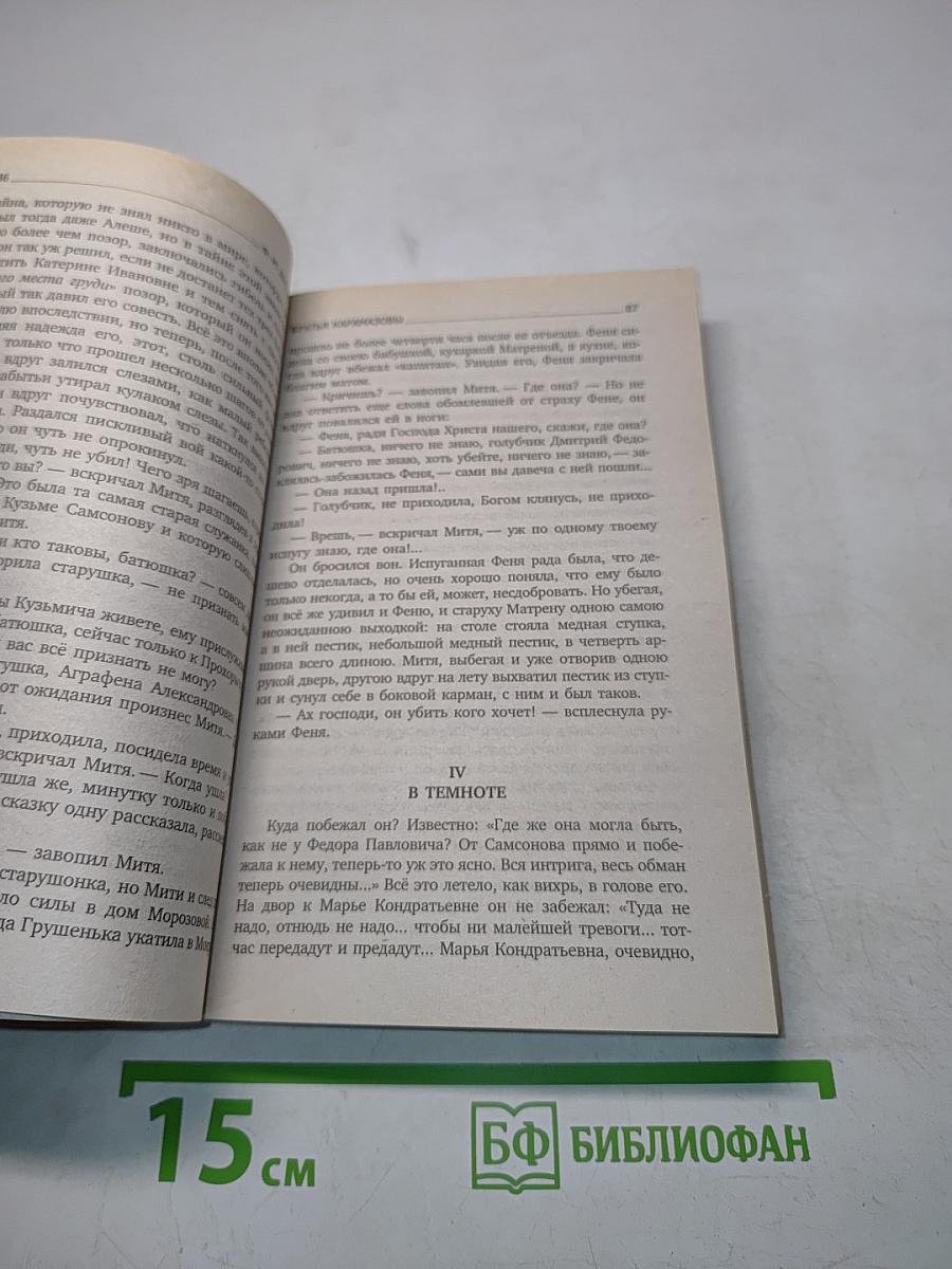 Братья Карамазовы. Части 3-4
