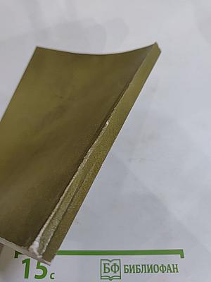 Достоевский и современность: материалы XV Международных Старорусских чтений