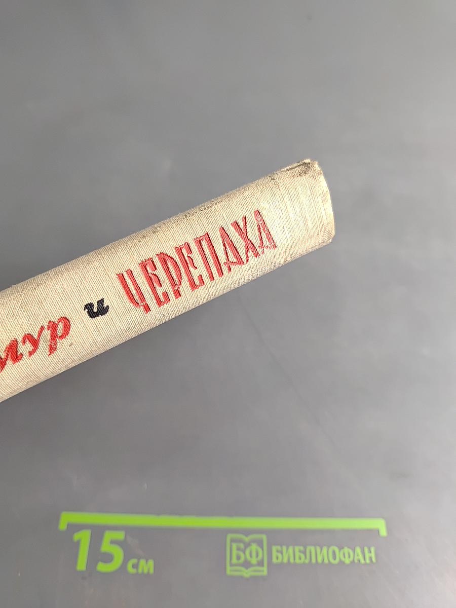 Амур и Черепаха