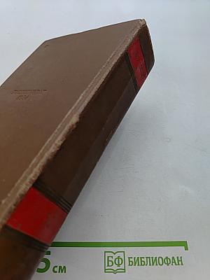 Человеческая комедия. Сцены парижской жизни. Том 10