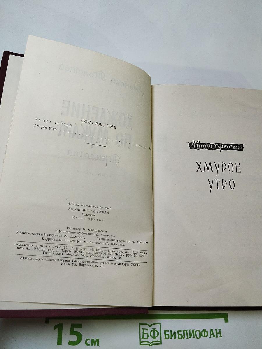 Хождение по мукам. Книга третья. Хмурое утро