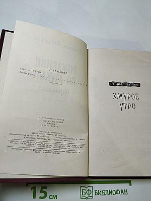 Хождение по мукам. Книга третья. Хмурое утро