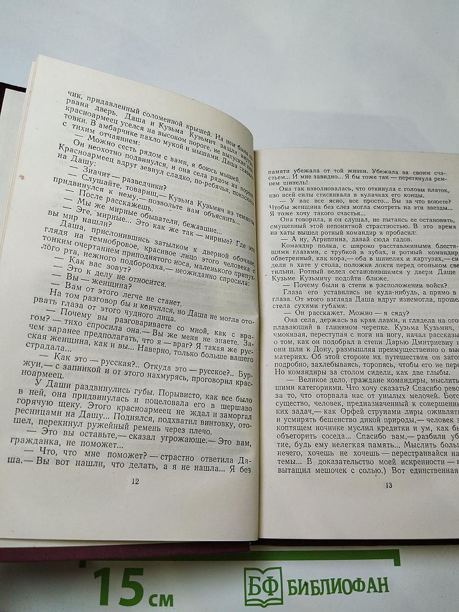 Хождение по мукам. Книга третья. Хмурое утро