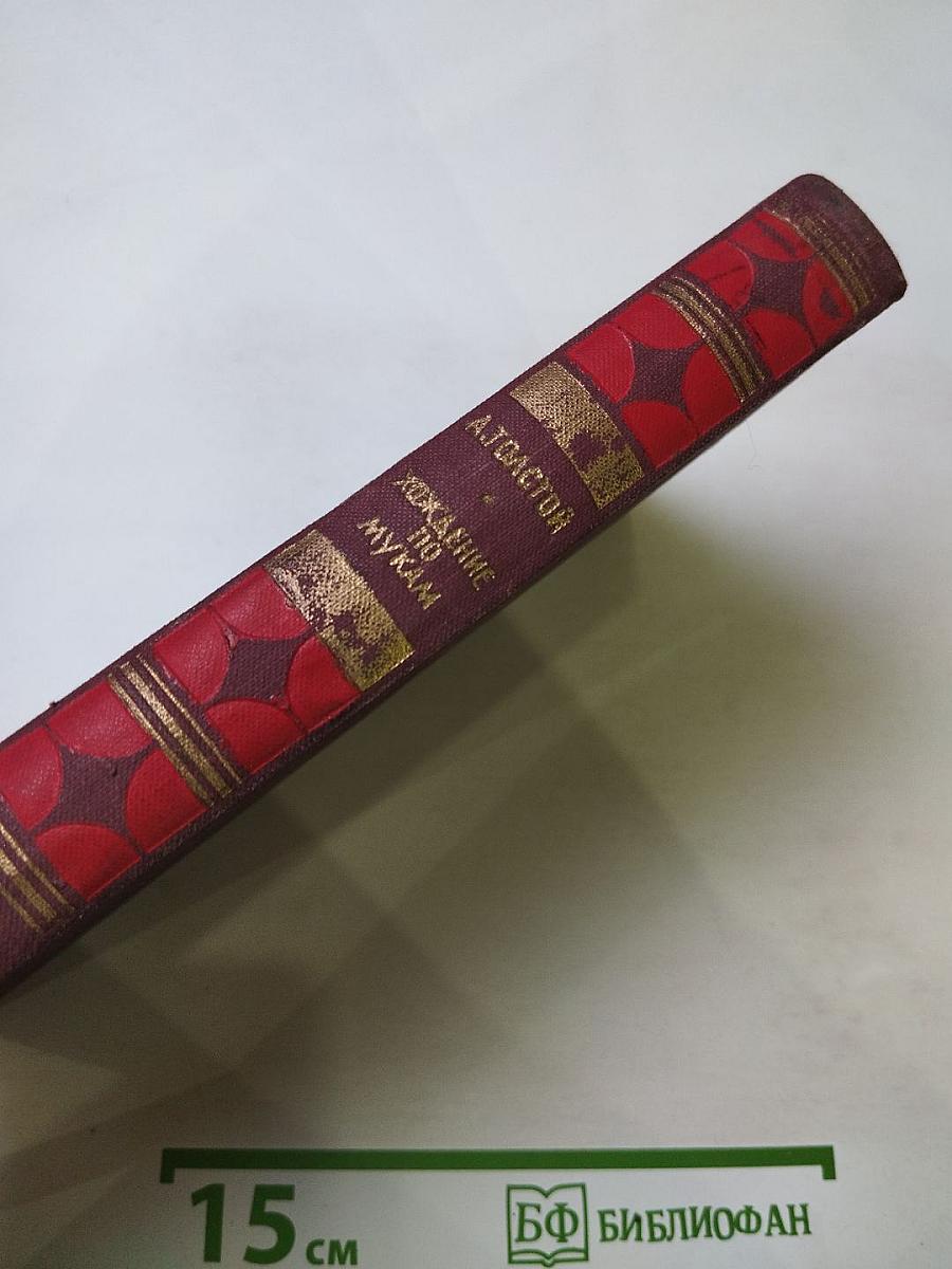 Хождение по мукам. Книга третья. Хмурое утро