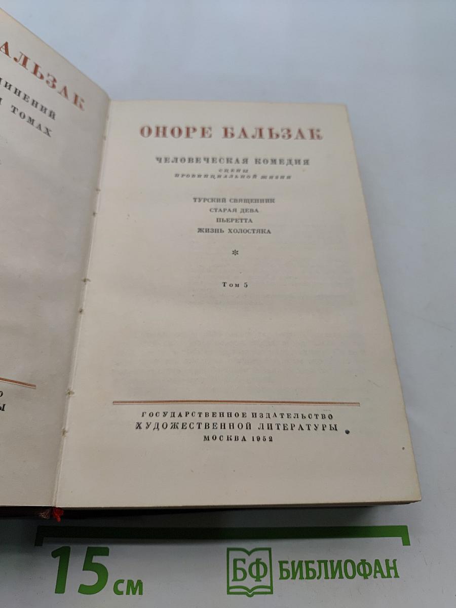 Человеческая комедия. Сцены из провинциальной жизни. Том 5