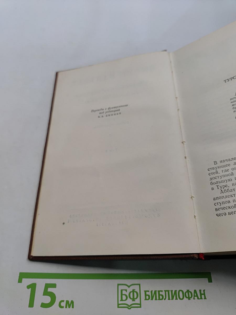Человеческая комедия. Сцены из провинциальной жизни. Том 5