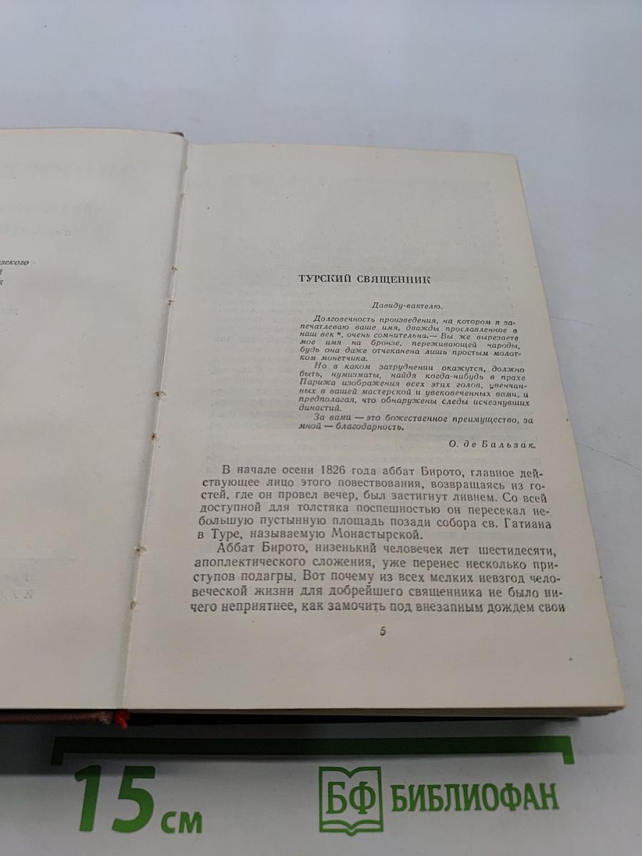 Человеческая комедия. Сцены из провинциальной жизни. Том 5