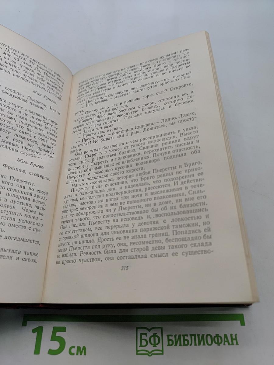 Человеческая комедия. Сцены из провинциальной жизни. Том 5