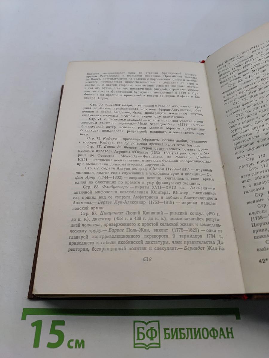 Человеческая комедия. Сцены из провинциальной жизни. Том 5