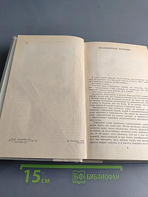 Испытательный срок. Повести и рассказы