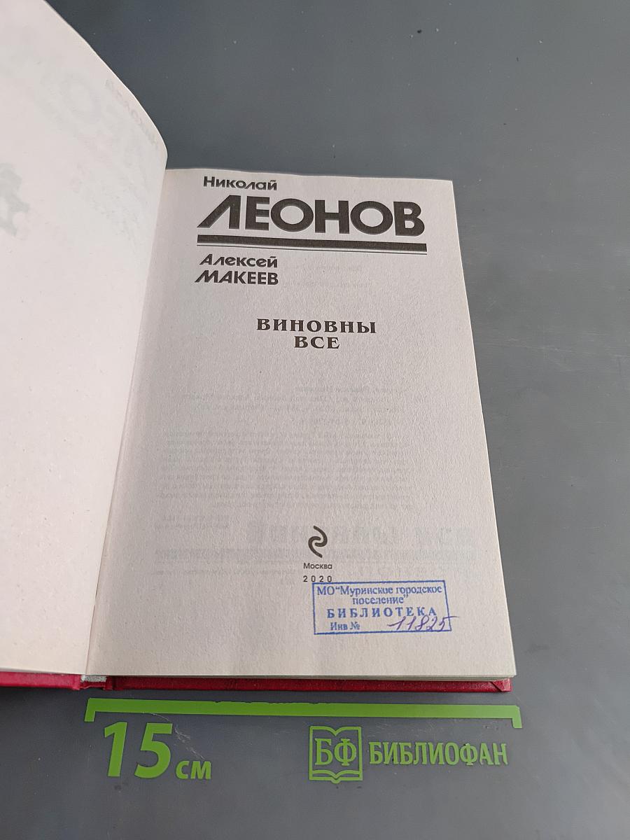 Виновны все