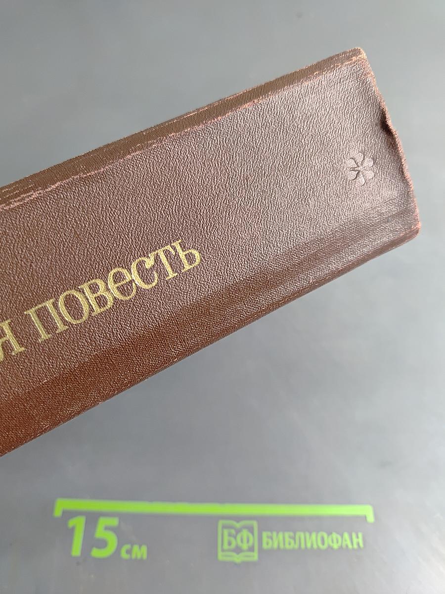 Зарубежная повесть