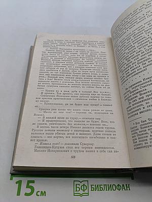 Фаворит. Роман-хроника времен Екатерины II в двух томах. Том II