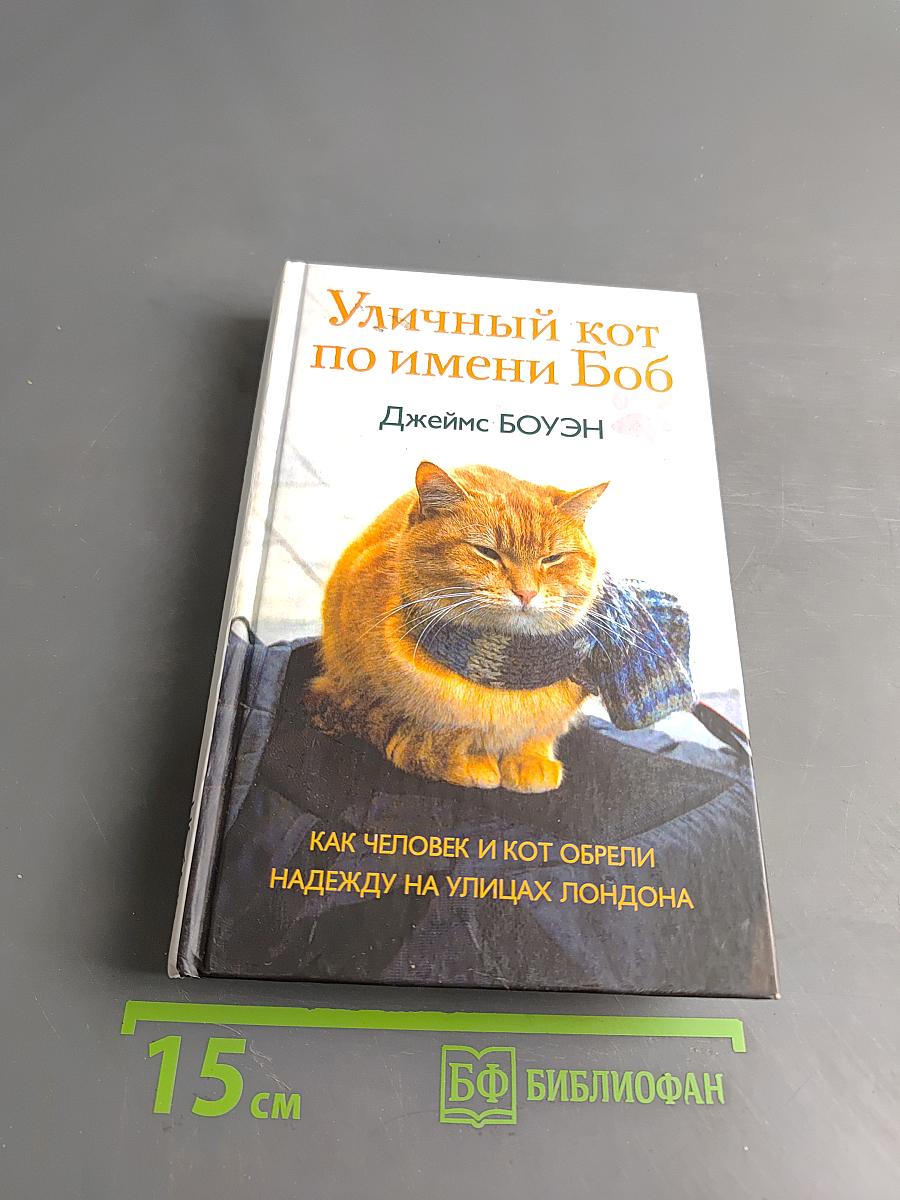 Уличный кот по имени Боб. Как человек и кот обрели надежду на улицах Лондона