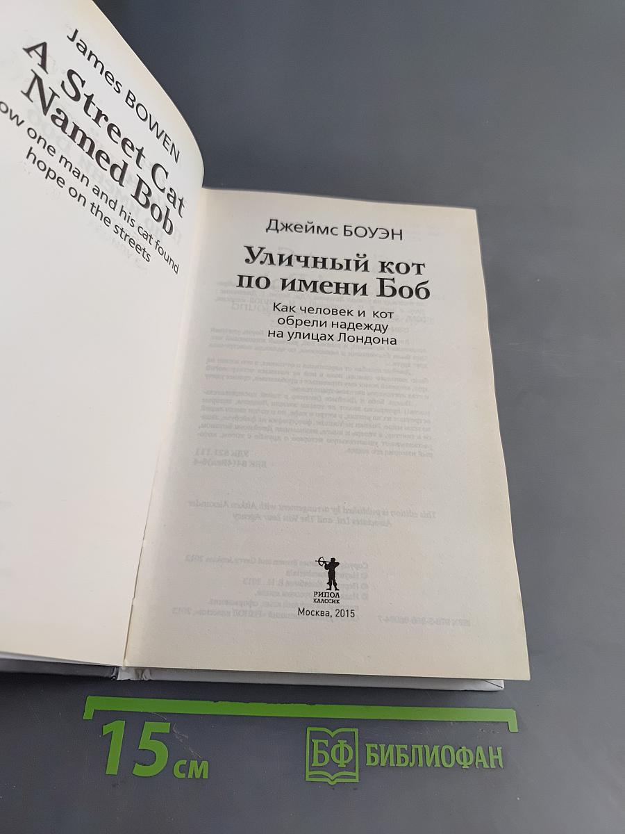 Уличный кот по имени Боб. Как человек и кот обрели надежду на улицах Лондона