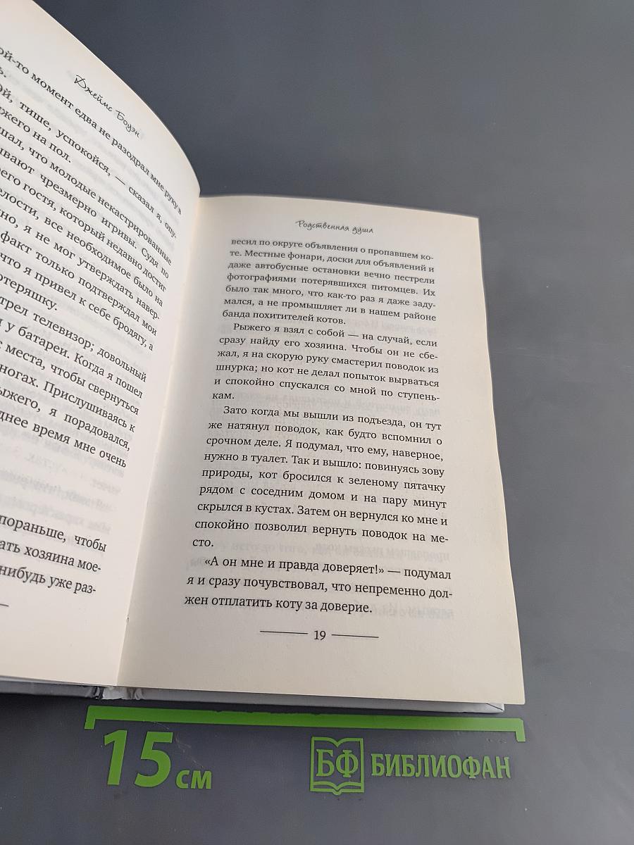 Уличный кот по имени Боб. Как человек и кот обрели надежду на улицах Лондона