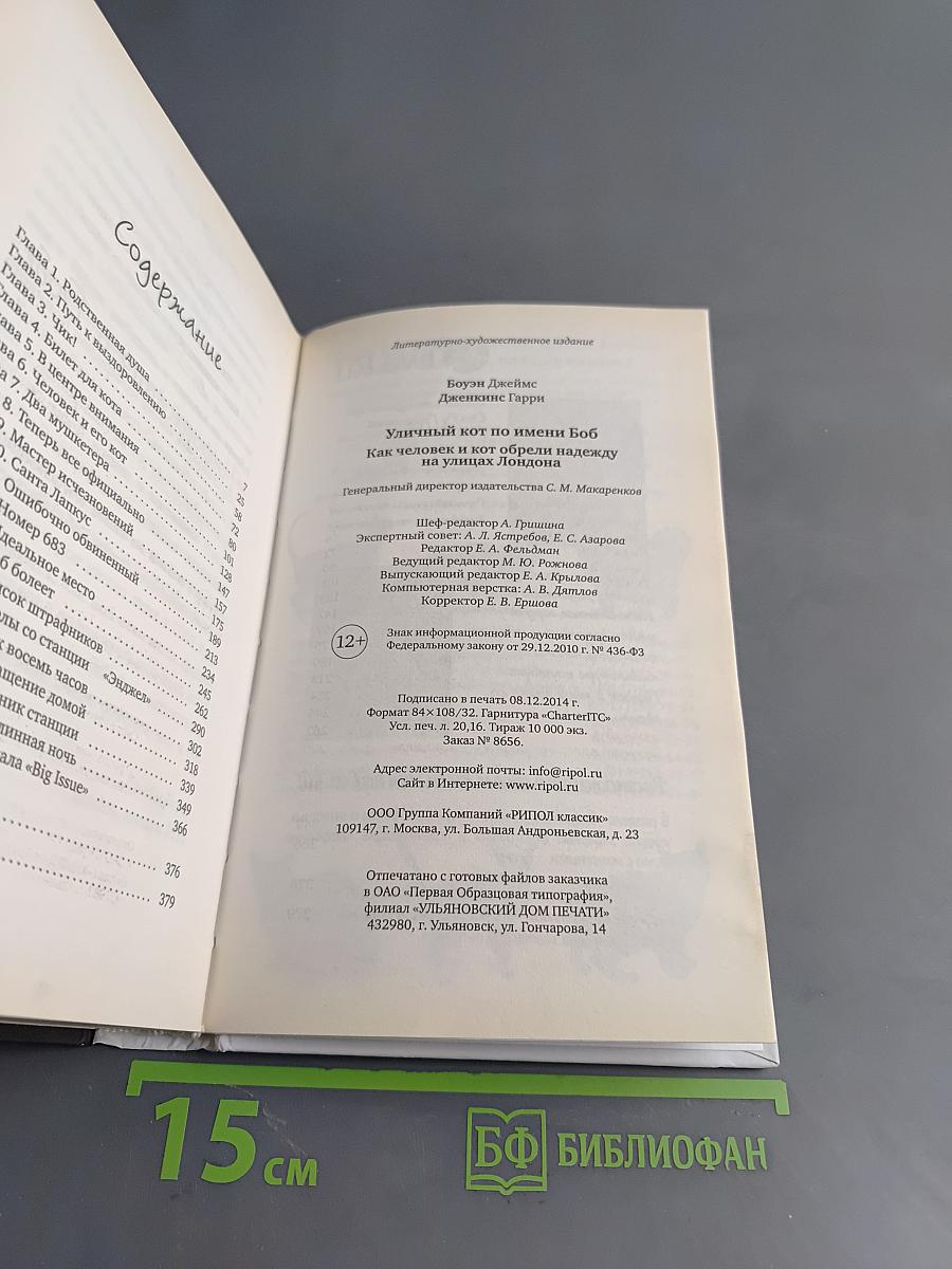 Уличный кот по имени Боб. Как человек и кот обрели надежду на улицах Лондона