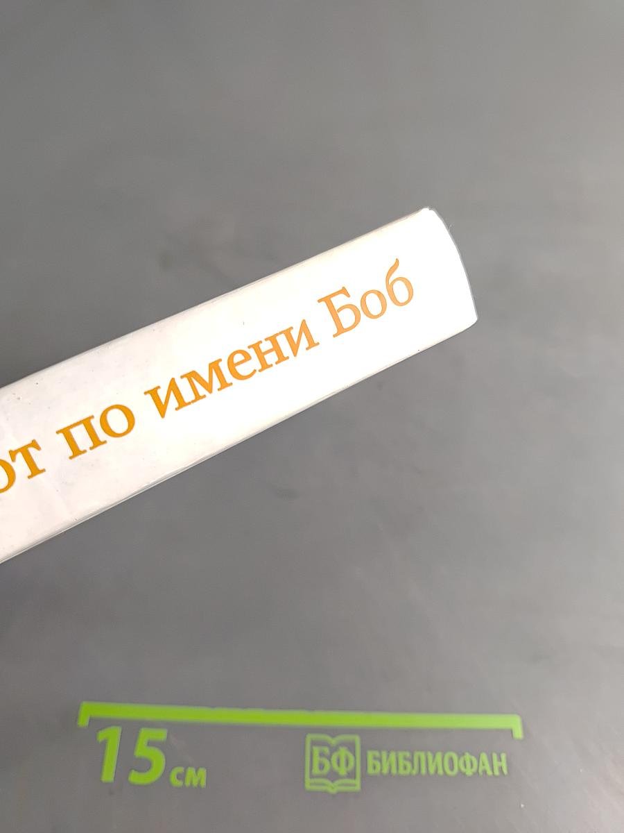 Уличный кот по имени Боб. Как человек и кот обрели надежду на улицах Лондона