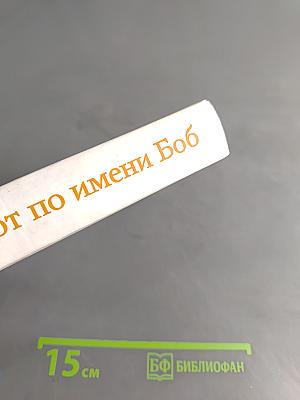 Уличный кот по имени Боб. Как человек и кот обрели надежду на улицах Лондона