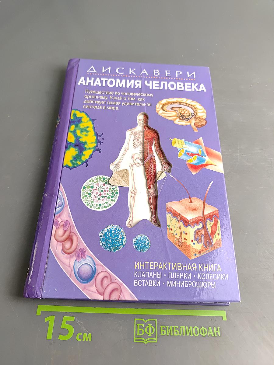 Анатомия человека