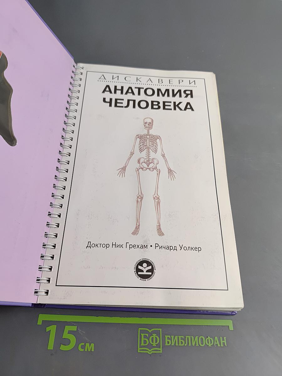 Анатомия человека