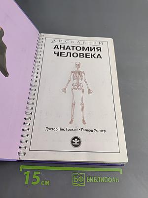 Анатомия человека