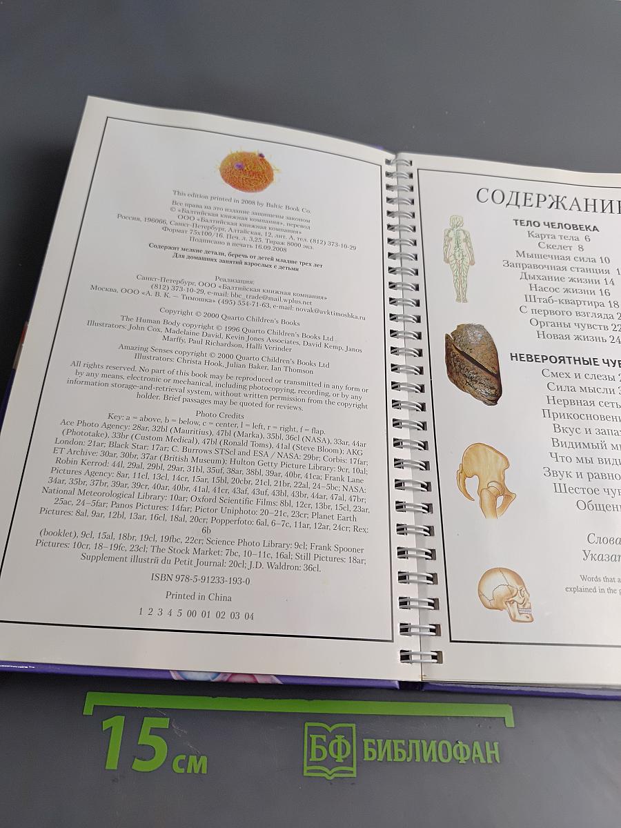 Анатомия человека
