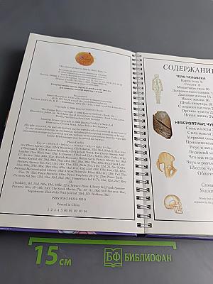 Анатомия человека