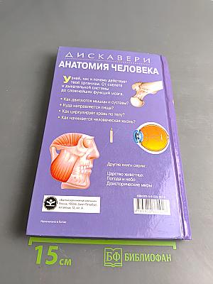 Анатомия человека