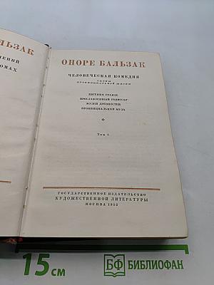 Человеческая комедия. Стены провинциальной жизни. Том 4