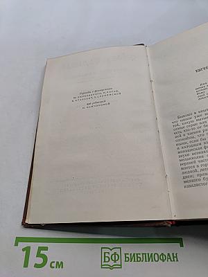 Человеческая комедия. Стены провинциальной жизни. Том 4