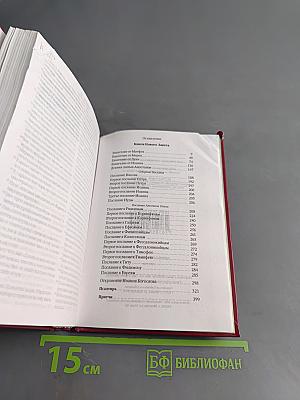 Новый Завет. Псалтирь. Притчи