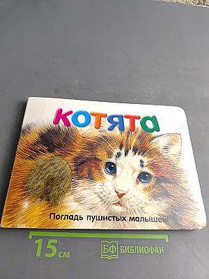 Котята