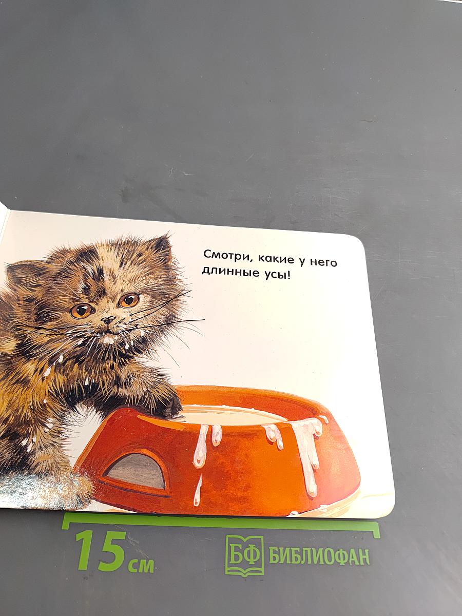 Котята