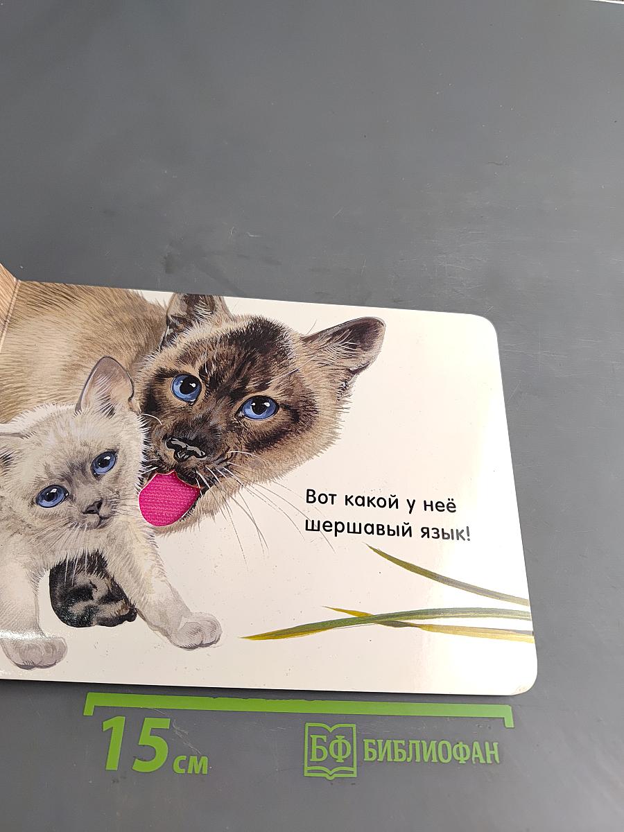 Котята