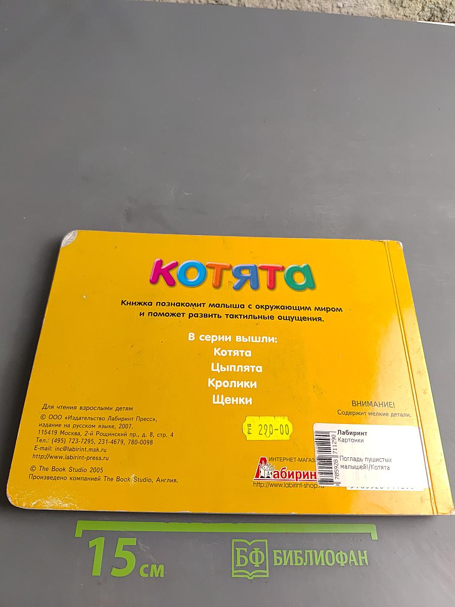 Котята