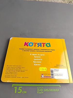 Котята