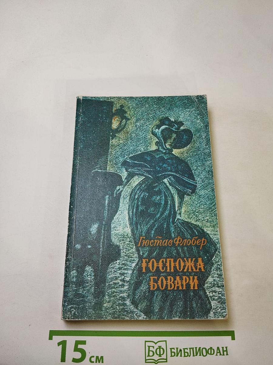 Госпожа Бовари: Провинциальные нравы