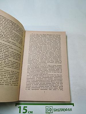 Госпожа Бовари: Провинциальные нравы