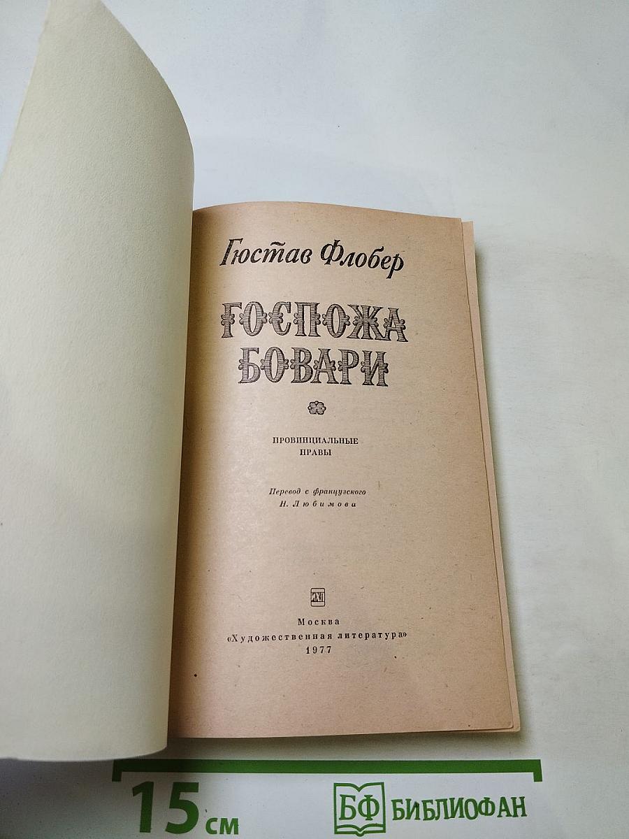Госпожа Бовари: Провинциальные нравы