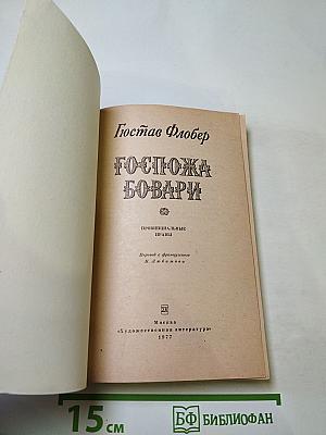 Госпожа Бовари: Провинциальные нравы