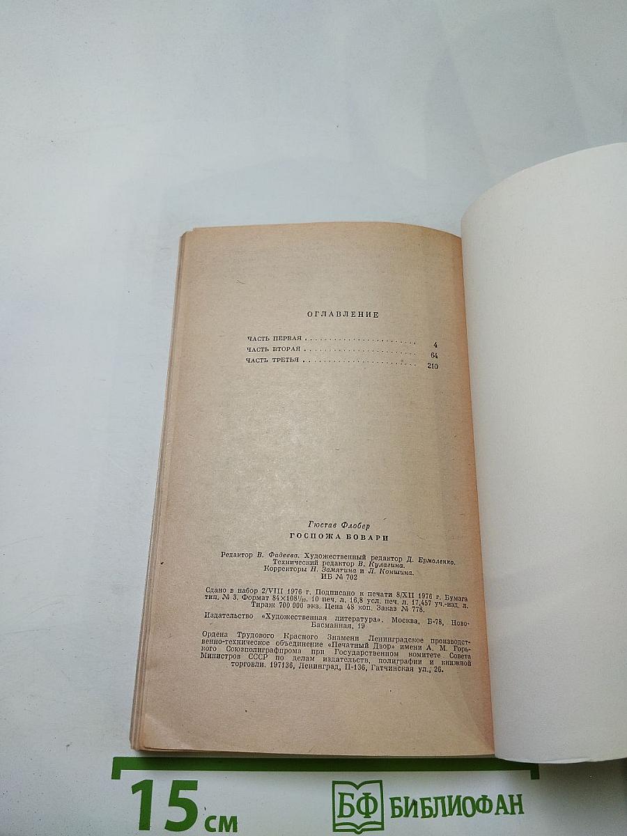 Госпожа Бовари: Провинциальные нравы