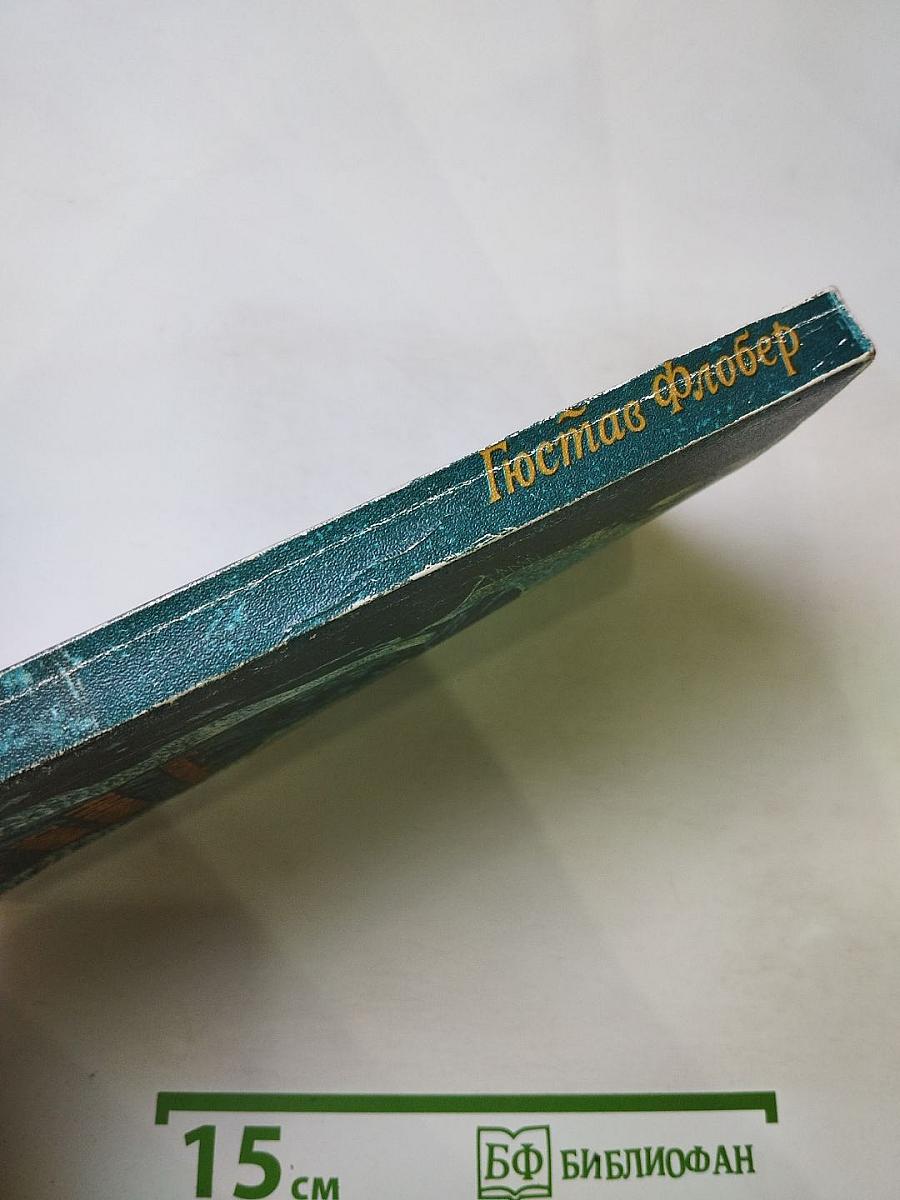 Госпожа Бовари: Провинциальные нравы