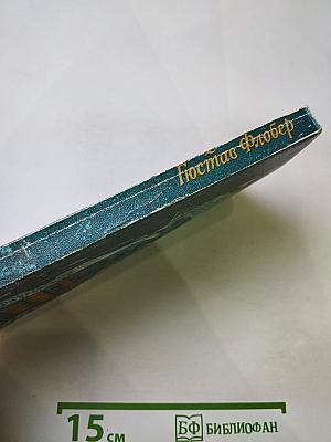 Госпожа Бовари: Провинциальные нравы