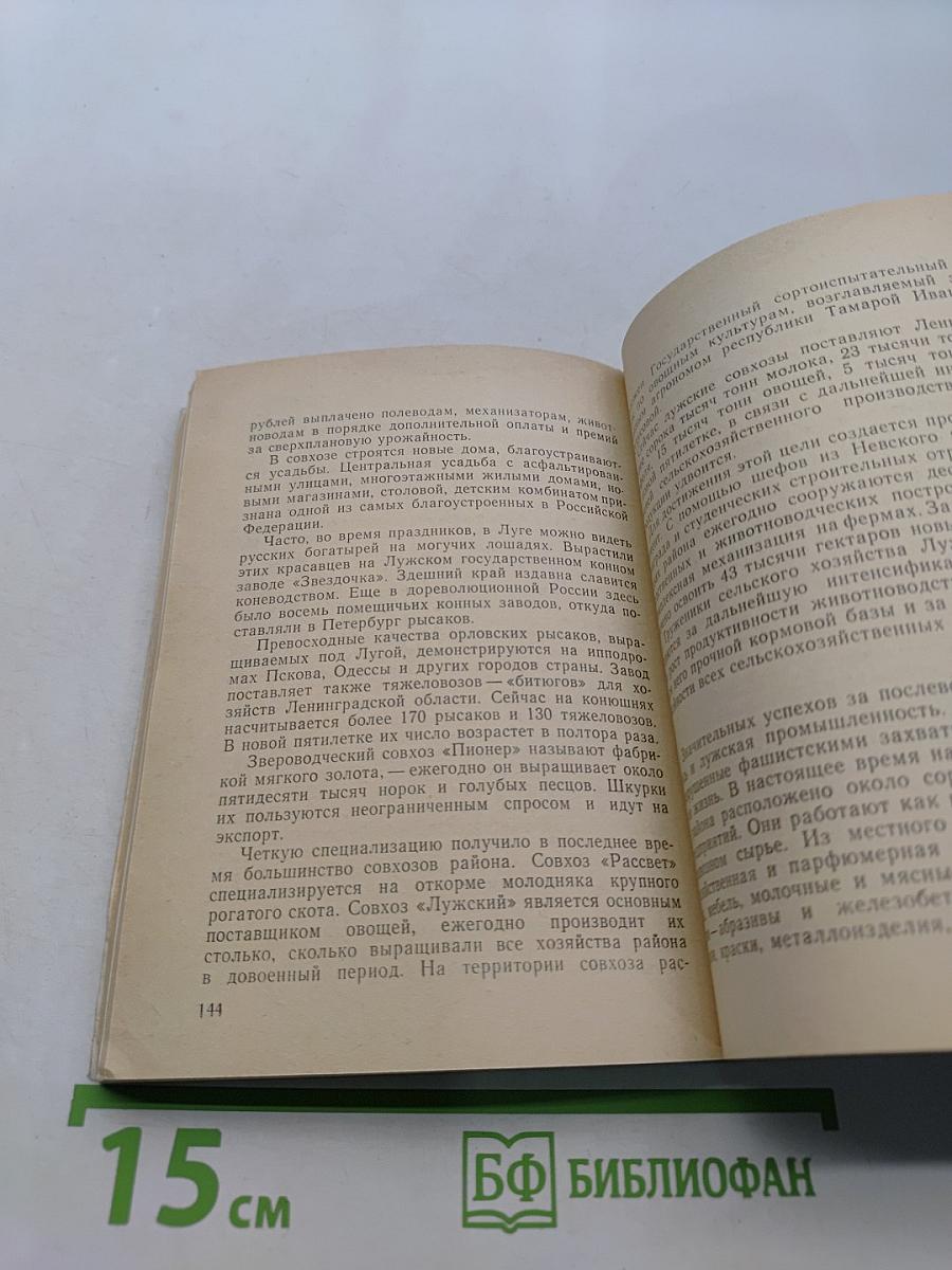 Луга. Путеводитель